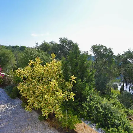 Aloni Villa